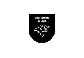 logo-silver-securite